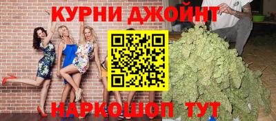 крисы Кулебаки