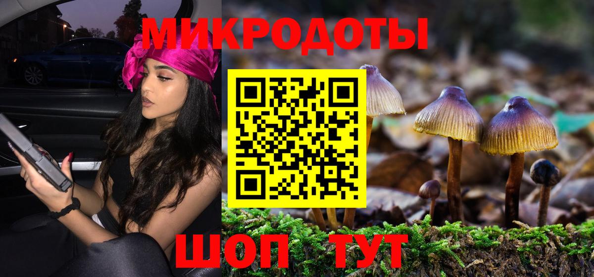 Галлюциногенные грибы Psilocybe Кимовск